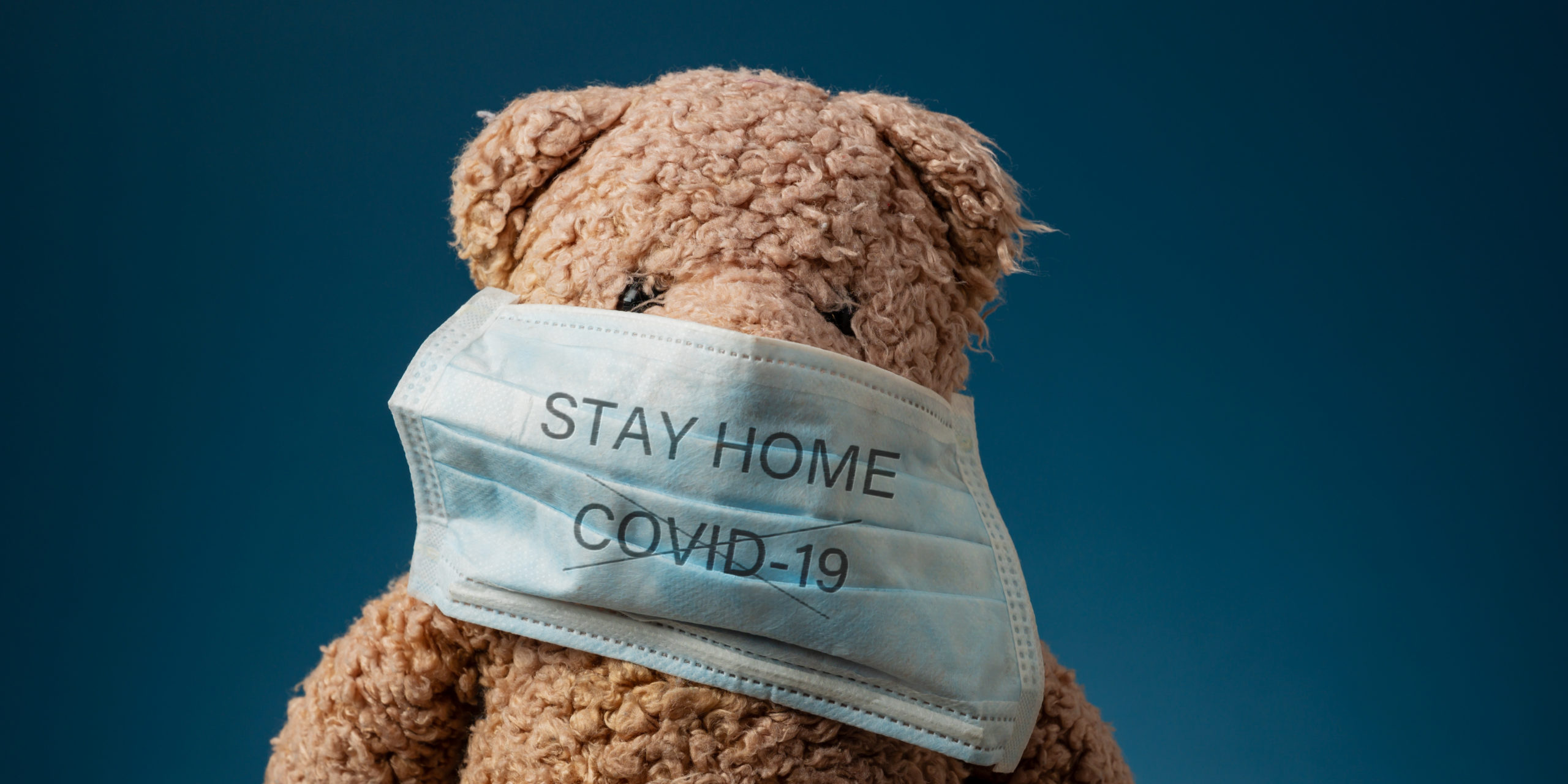Teddy bear wearing protective medical mask with Stay Home sign and Covid 19 crossed.